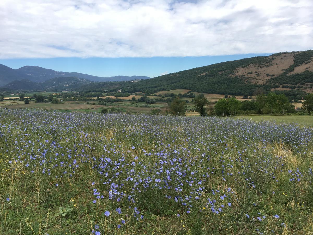 Tenuta Due Laghi Rivodutri Екстер'єр фото